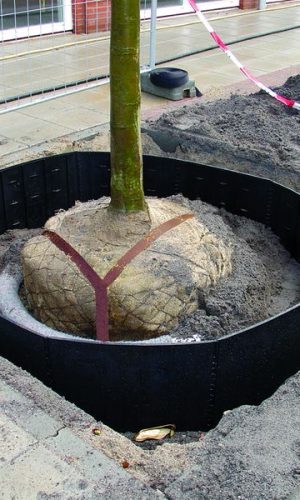 Tree Root Guide Jardiprotec