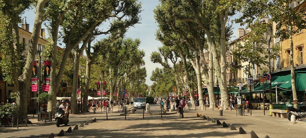 Arbres urbains Jardiprotec