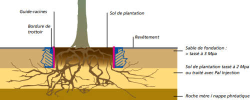 panneaux guide racines pour arbres green route protec®