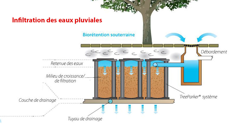 Treeparker améliore infiltration eaux pluviales Jardiprotec