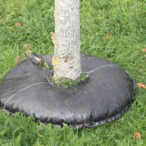 système d'irrigation pour arbre treediaper