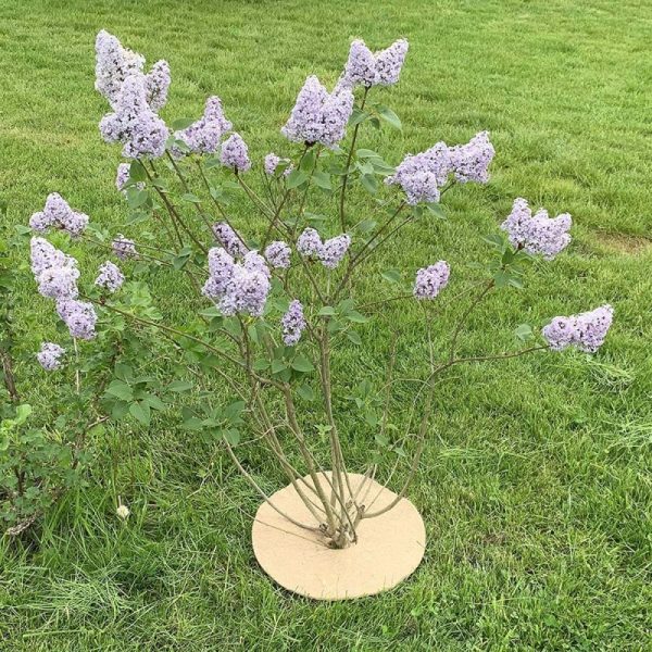 disque de paillage pour pots 100 biodegradables thoredisc 2