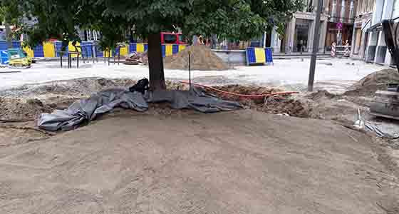 Treeparker adapte aux reseaux enterres Jardiprotec